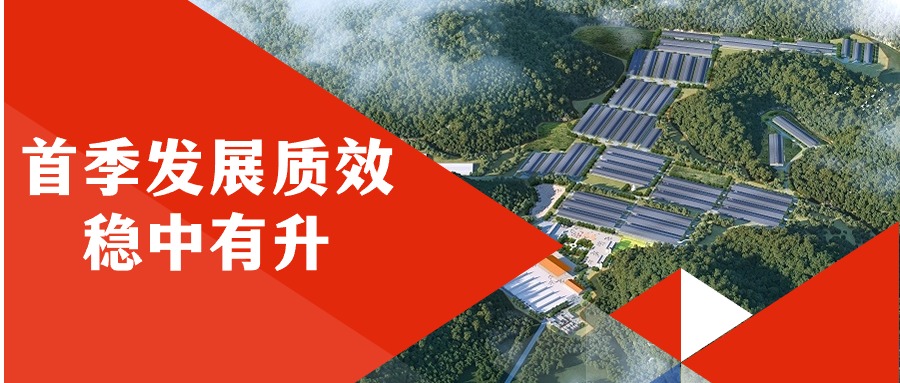 廣咨集團首季發(fā)展質效穩(wěn)中有升